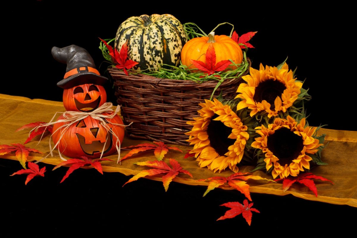 Pumpkins, Sunflower, Jack-O'-Lantern laid out on a table.